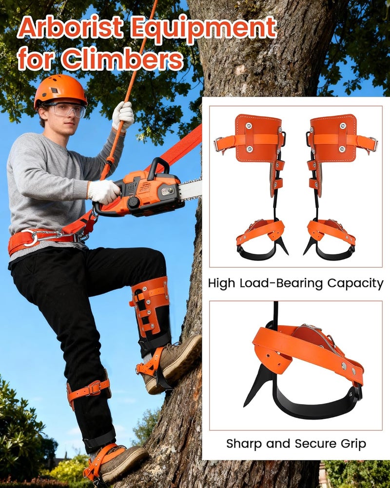 Xeoca Tree Climbing Spikes Set Tree Climbing Gear 1 Pair Alloy Steel Climbing Spurs 350lbs Load Capacity Arborist Equipment for Climbers, Fruit Picking and Lumberjack - Image 2